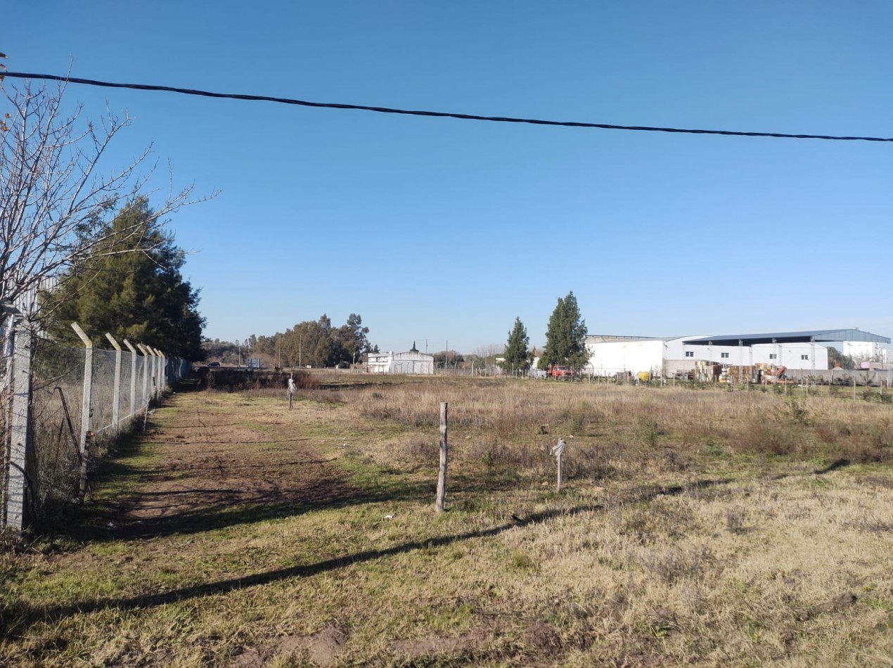 Lote a 200 metros de la ruta 205 ( Volente y Sanguinetti)