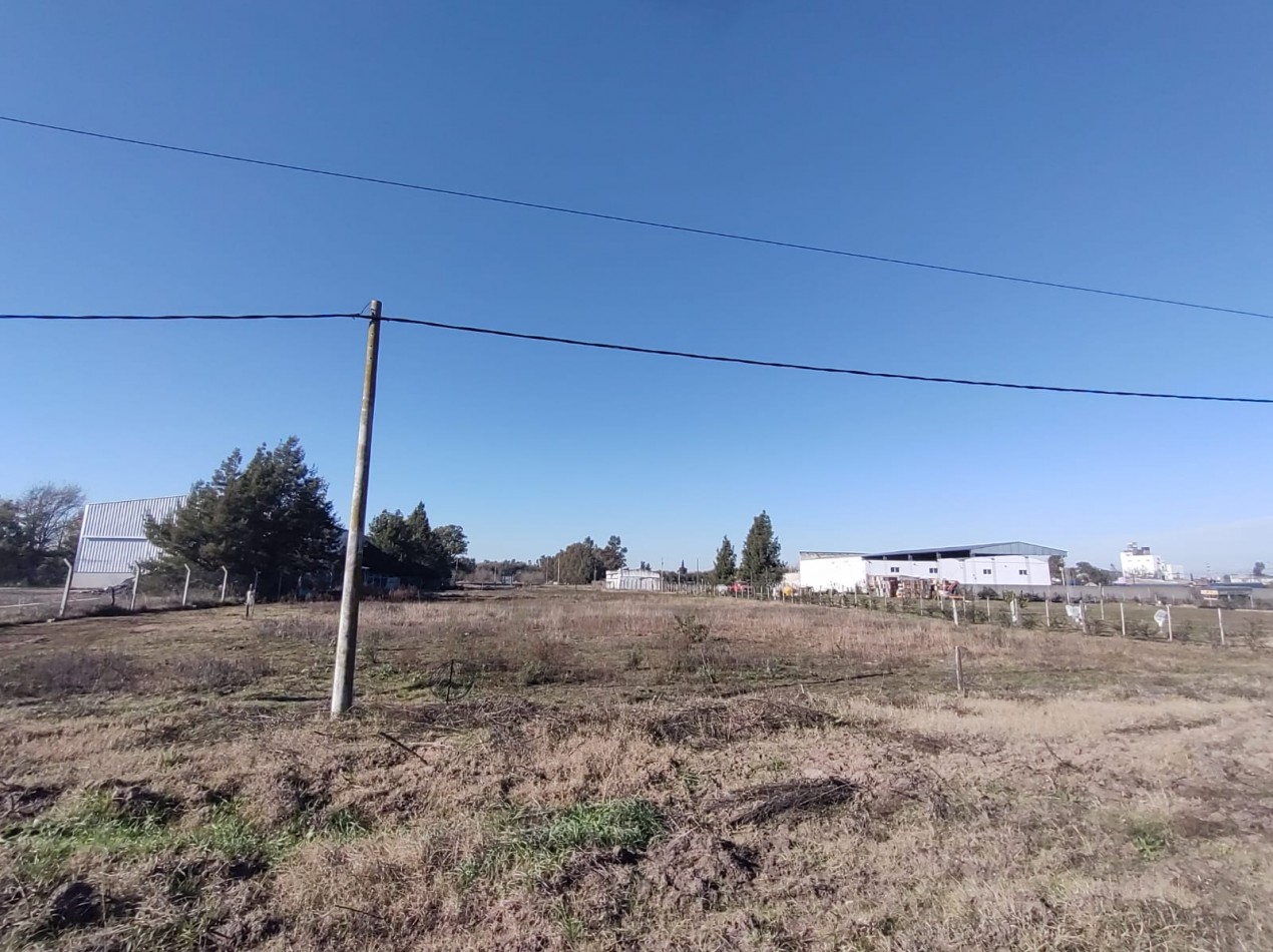 Lote a 200 metros de la ruta 205 ( Volente y Sanguinetti)