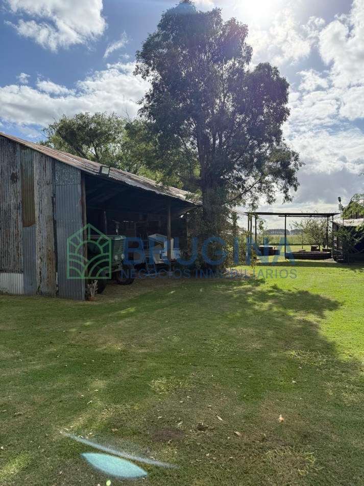 60 HECTAREAS AGRICOLAS 