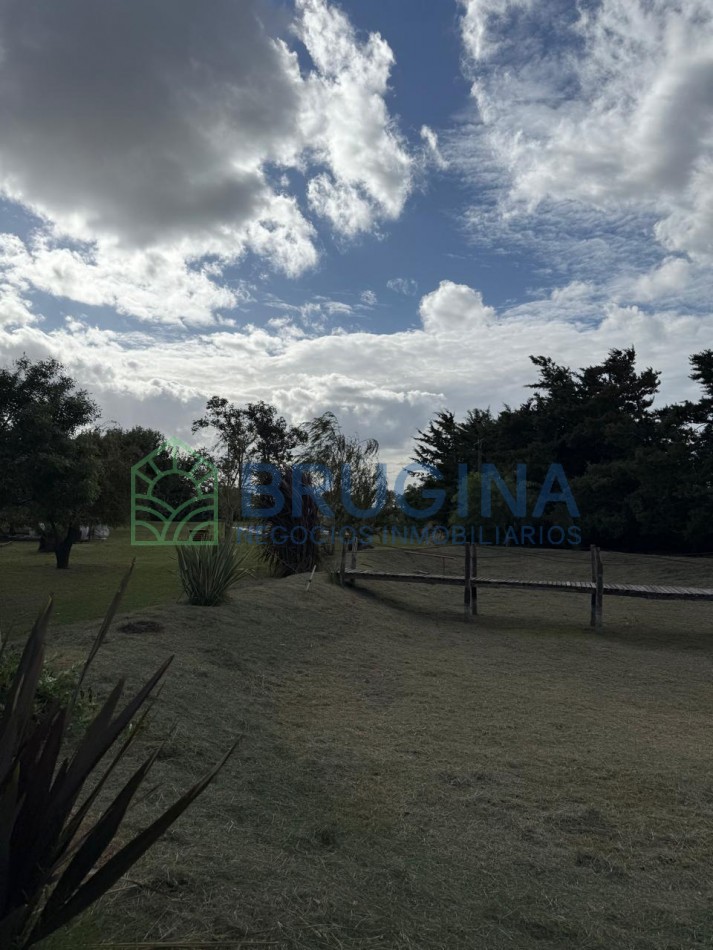 60 HECTAREAS AGRICOLAS 