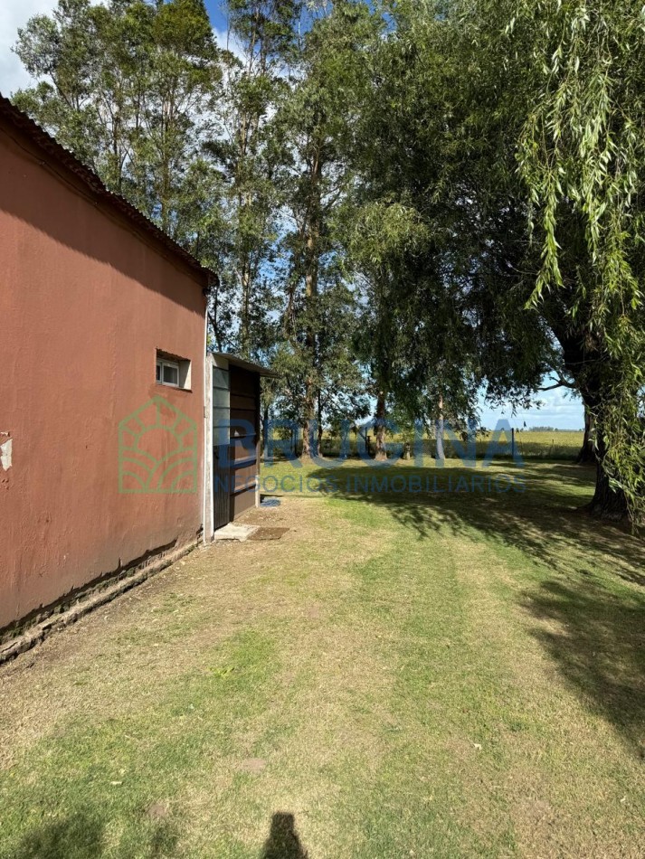 60 HECTAREAS AGRICOLAS 