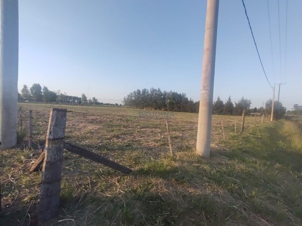 Lote en Venta