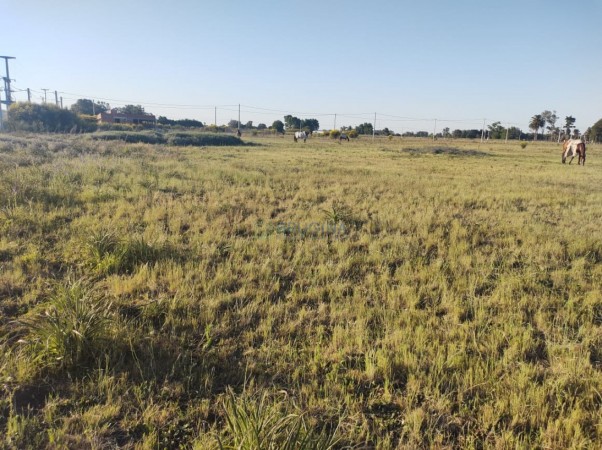 Lote en venta