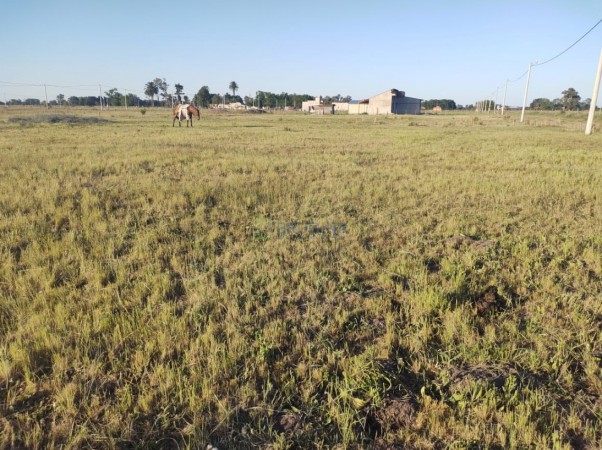 Lote en venta