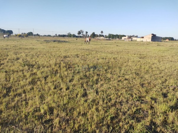 Lote en venta