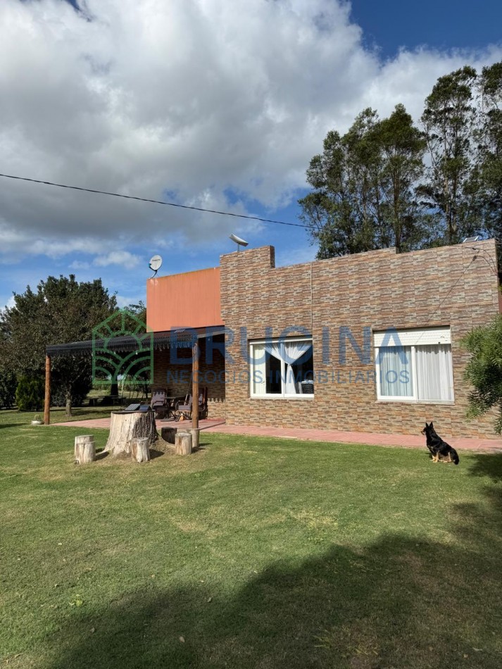 60 HECTAREAS AGRICOLAS 