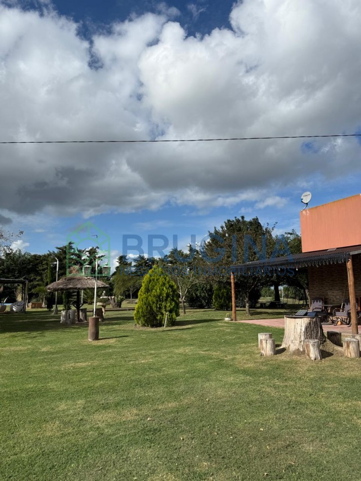 60 HECTAREAS AGRICOLAS 