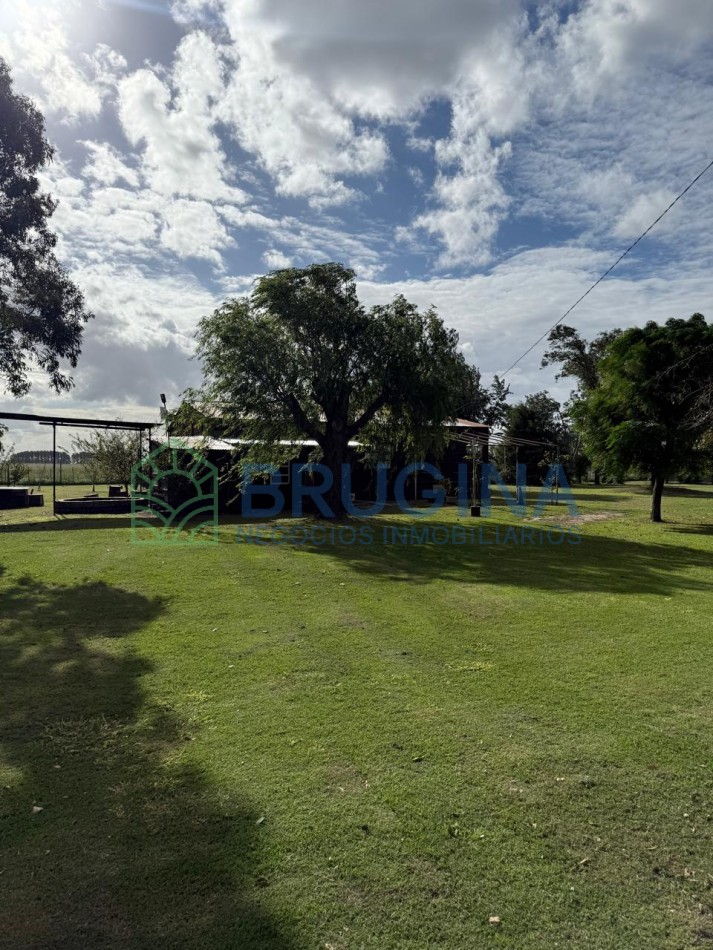 60 HECTAREAS AGRICOLAS 