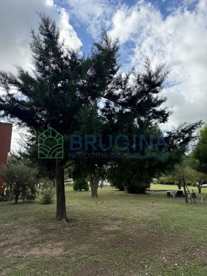 60 HECTAREAS AGRICOLAS 