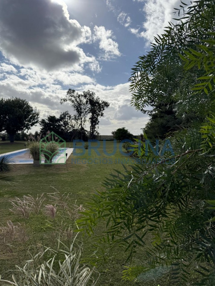 60 HECTAREAS AGRICOLAS 