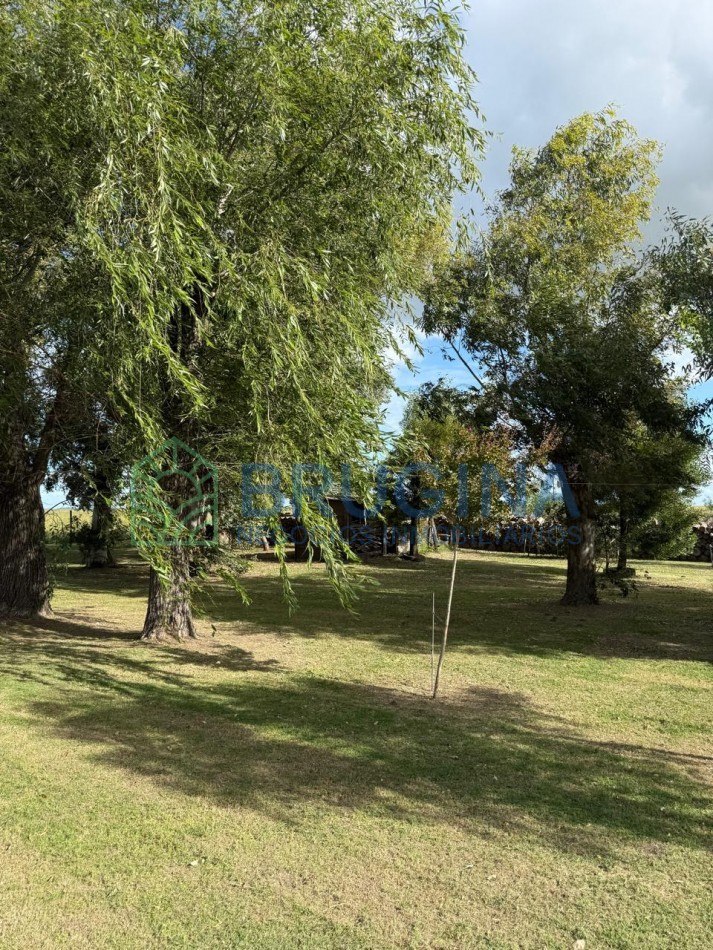 60 HECTAREAS AGRICOLAS 