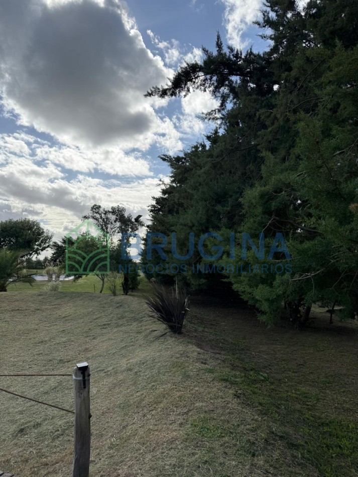 60 HECTAREAS AGRICOLAS 