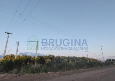 Lote en venta 